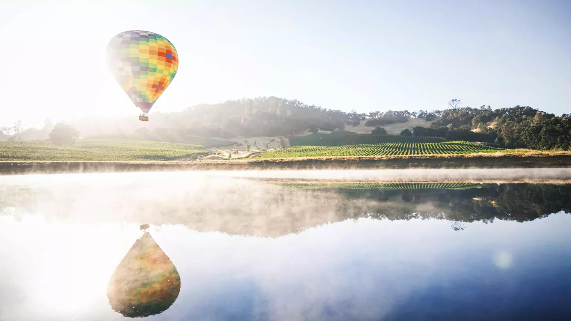Hot air balloon hovering over a vineyard.